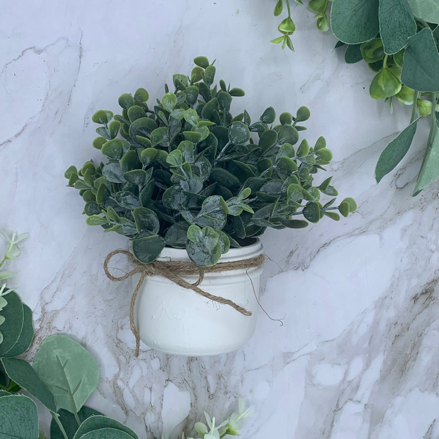 Mason Jar Plant